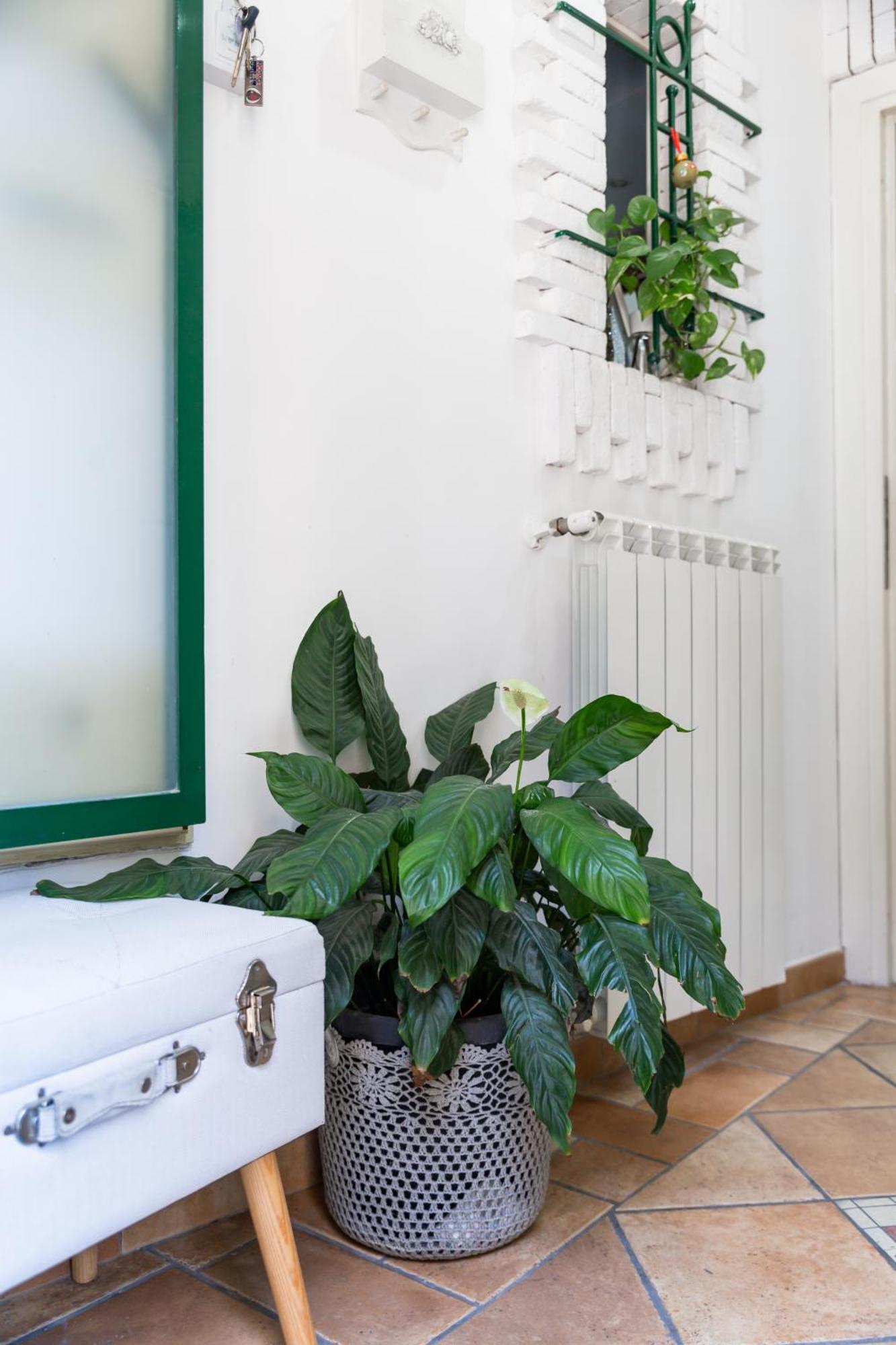 Flavia'S Home Napoli Ngoại thất bức ảnh